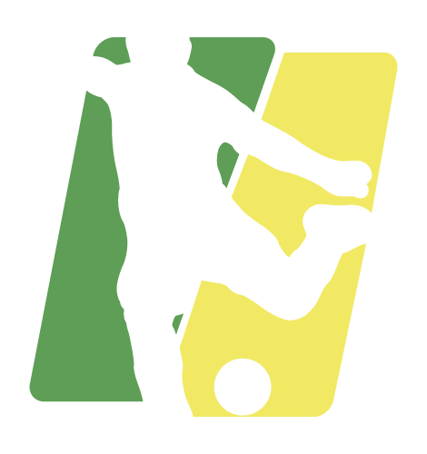 Liga Nacional de Futsal
